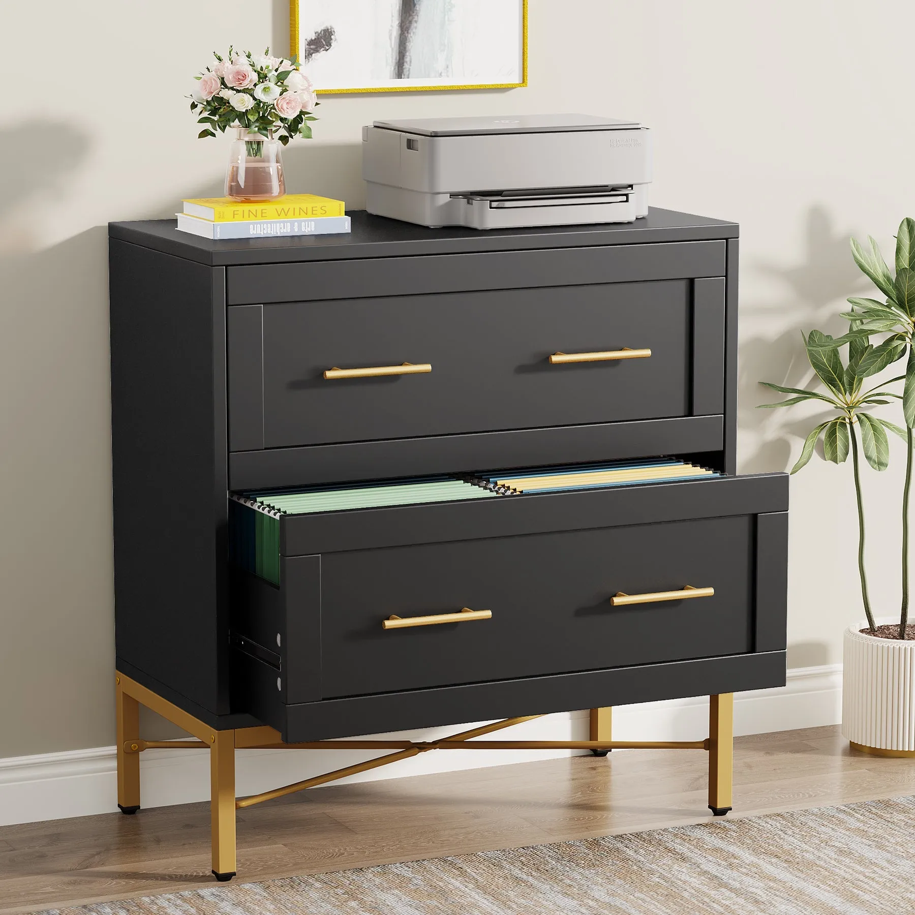 2-Drawer File Cabinet, Lateral Storage Cabinet Printer Stand